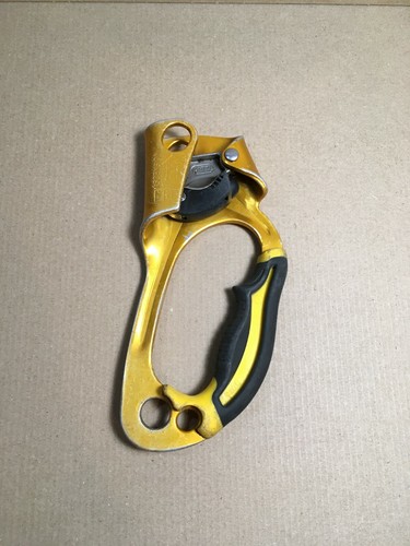 Petzl ascension yellow gold - petzl,